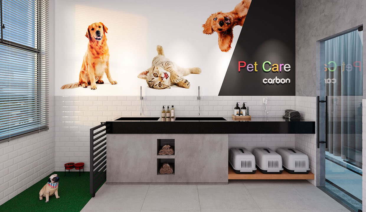 014-carbon-tower-residence-pet-care-final